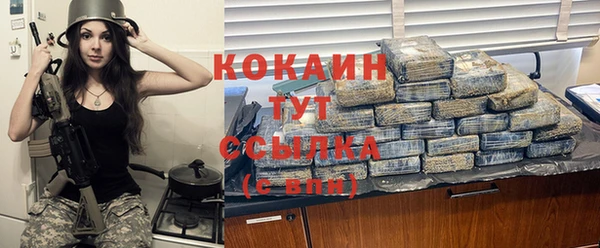 прущий лед Алзамай