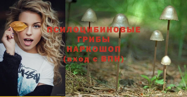 прущий лед Алзамай