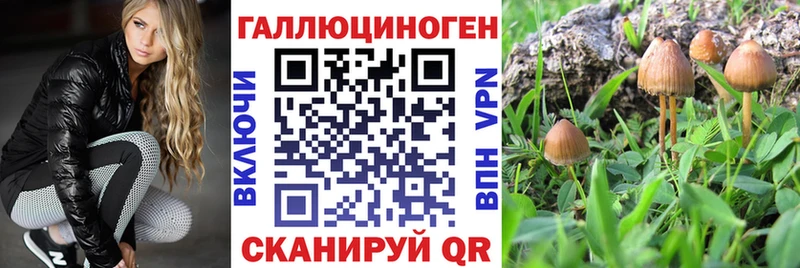 Псилоцибиновые грибы GOLDEN TEACHER  Лагань 